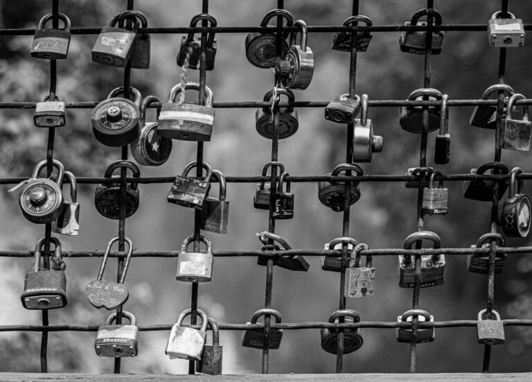 Black and White Photo of multiple locks attached to a fence